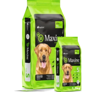 maxine senior