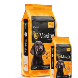 maxine cachorro