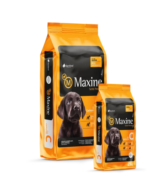 maxine cachorro