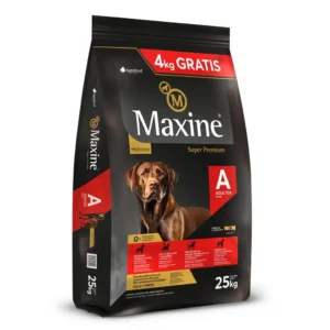 maxine perro adulto
