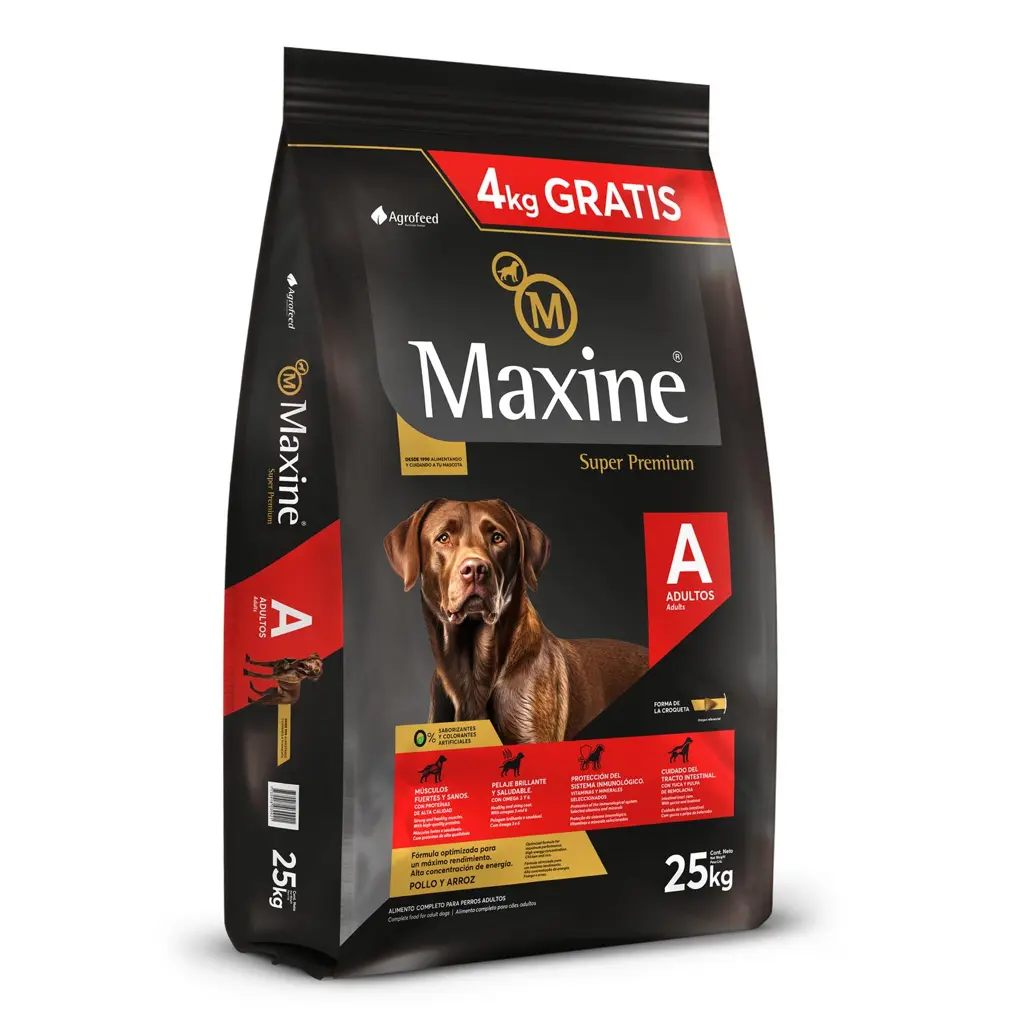 maxine perro adulto