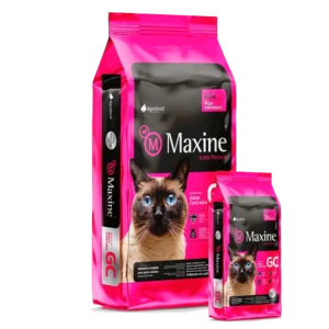 maxine gato castrado