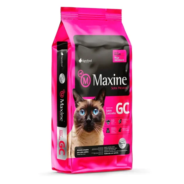 maxine gato castrado